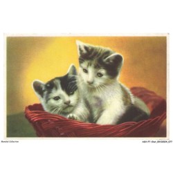 ASHP7-0415-CHAT - DEUX CHATONS DANS UN PANIER ROUGE