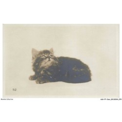 ASHP7-0416-CHAT - UN CHAT NOIR COUCHE SUR LE VENTRE - LOHMANN - ASNIERES