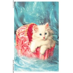 ASHP7-0414-CHAT - CHATON BLANC DANS UN PANIER ROUGE