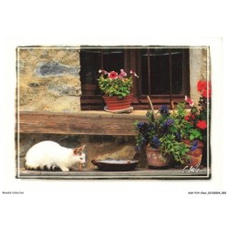 ASVP14-1050-CHAT - Le repas du chat