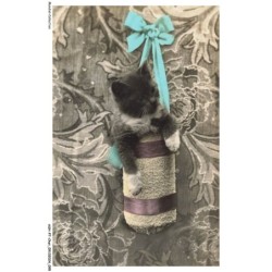 ASHP7-0424-CHAT - CHATON DANS UN SAC ACROCHE AU MUR