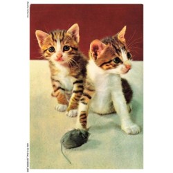 ASVP14-1063-CHAT - Les chatons et la souris