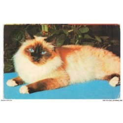 ASVP14-1073-CHAT - Sacré de birmanie