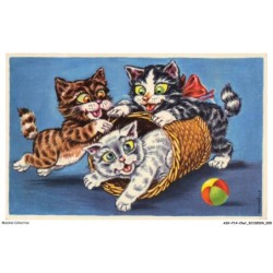 ASVP14-1059-CHAT - jeu de chats