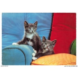 ASVP14-1094-CHAT - Touki