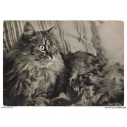 ASVP14-1098-CHAT - Persan
