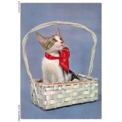 ASHP1-0001-CHAT - UN CHAT DANS UN PANIER
