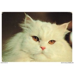 ASVP14-1088-CHAT - Persan