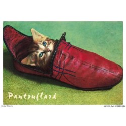 ASVP14-1097-CHAT - Pantouflard
