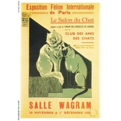 ASHP1-0012-CHAT - EXPOSITION FELINE INTERNATIONALE DE PARIS - LE SALON DU CHAT - SALLE WAGRAM - LES CHATS