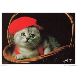 ASHP1-0011-CHAT - GENTILS MATOUS - UN CHAT AVEC UN CHAPEAU ROUGE SUR LA TETE DANS UN PANIER