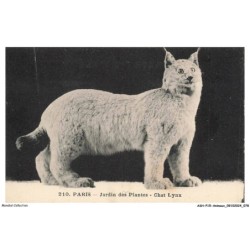 ASHP15-0958-ANIMAUX - PARIS - JARDIN DES PLANTES - CHAT LYNX