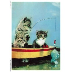ASHP1-0044-CHAT - UN CHAT ET UN CHATON A LA PECHE