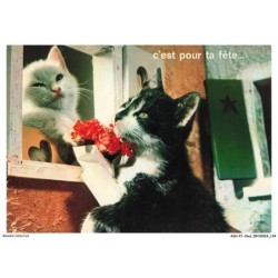 ASHP1-0068-CHAT - C'EST POUR LA FETE - DEUX CHATS ET FLEURS - LES ANIMAUX DE JEAN LOURANE