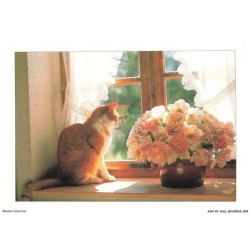 ASHP2-0084-CHAT - UN CHAT ASSIS PRES D'UNE FENETRE ET UN POT DE FLEURS