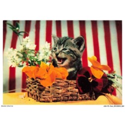 ASHP2-0114-CHAT - CHATON DANS UN PANIER AVEC DES FLEURS - CHIENS ET CHATS NOS AMIS