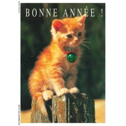 ASHP3-0143-CHAT - BONNE ANNEE - CHATON SUR LE TRONC D'UN ARBRE