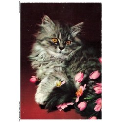 ASHP3-0150-CHAT - UN CHAT AVEC DES FLEURS