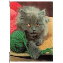 ASHP2-0122-CHAT - CHATON NOIR ET FIL DE LAINE ROUGE ET VERT