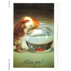 ASHP3-0152-CHAT - I LOVE YOU - UN CHAT ENTRANT DANS UN AQUARIUM POUR POSSON