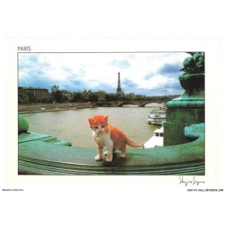 ASHP3-0162-CHAT - MINOU SUR LE PONT ALEXANDRE-III