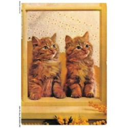 ASHP3-0159-CHAT - DEUX CHATONS PRES D'UNE FENETRE ET FLEURS JAUNE