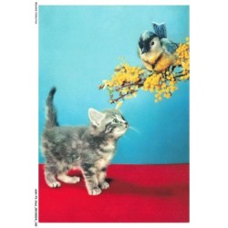 ASHP3-0189-CHAT - CHATON - OISEAU SUR UNE BRANCHE AVEC DES FLEURS JAUNE