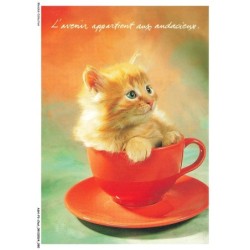 ASHP3-0183-CHAT - CHATON DANS UNE TASSE DE THE - L'AVENIR APPARTIENT AUX AUDACIEUX