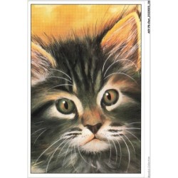 AKYP8-0758-CHAT - DESSIN DE CHAT