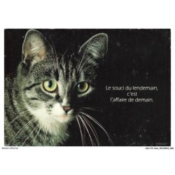 ASHP4-0203-CHAT - PORTRAIT D'UN CHAT - LE SOUCI DU LENDEMAIN C'EST L'AFFAIRE DE DEMAIN