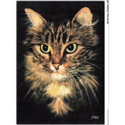 AKYP8-0751-CHAT - CHIENS ET CHATS NOS AMIS