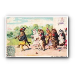 AWKP2-0027-CHAT - Mariage - Singe viloniste