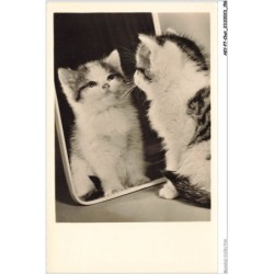 AKYP7-0687-CHAT - CHAT DEVANT MIROIR