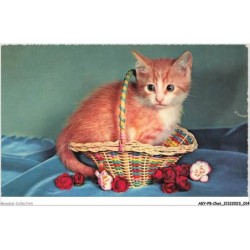 AKYP8-0707-CHAT - CHAT ROUX DANS UN PANIER