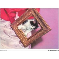 AKYP8-0757-CHAT - LE CHAT AU CADRE