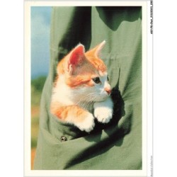 AKYP8-0745-CHAT - IN THE POCKET