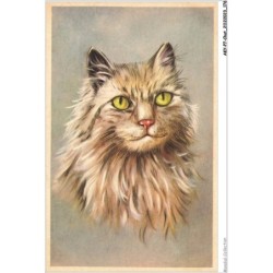 AKYP7-0697-CHAT - DESSIN DE CHAT