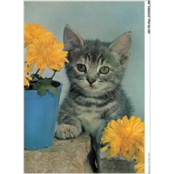 AKYP8-0753-CHAT - CHATON ET FLEURS