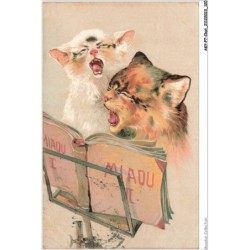 AKYP7-0669-CHAT - DEUX CHATS CHANTEURS
