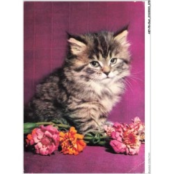 AKYP8-0739-CHAT - CHATON ET FLEURS
