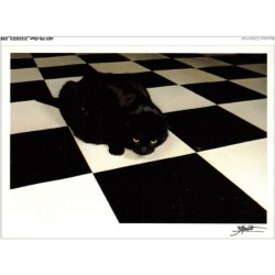 AKYP8-0749-CHAT - BRUNO MASO - L'ECHIQUIER - GRAND MASTER