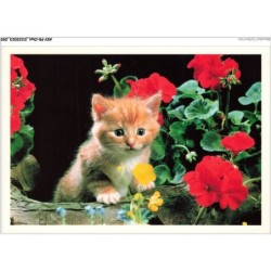 AKYP8-0746-CHAT - CHATON ET FLEURS