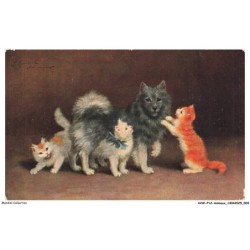 AVWP12-0650-ANIMAUX - Chat - Groupe de chats