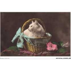 AKYP8-0701-CHAT - CHAT DANS UN PANIER