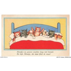 AVWP12-0682-ANIMAUX - Hondjes en poezen snurken lang niet kwaad - Chats