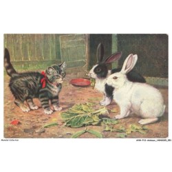 AVWP13-0740-ANIMAUX - Chat - Lapins