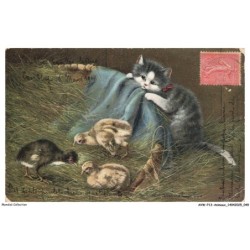 AVWP13-0739-ANIMAUX - Chat - Poussins