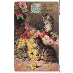 AVWP12-0693-ANIMAUX - Des chats - Des fleurs