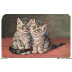 AVWP12-0698-ANIMAUX - Des chattons