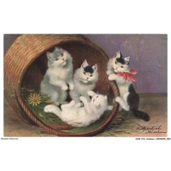 AVWP12-0694-ANIMAUX - Des chats